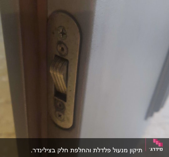 מנעול דלת עם בריח מתכת וברגים